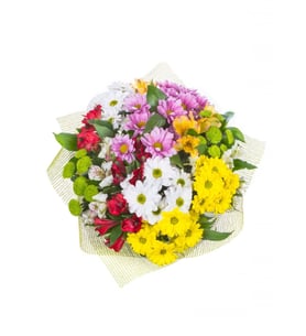 Bouquet of daisies