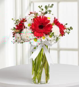 Gerberas, Carnations and Daisies - Noble Blossoms