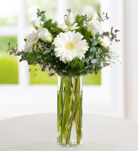 White Roses and Gerberas - Above the Clouds