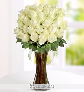 41 rosas brancas - Floco de Neve
