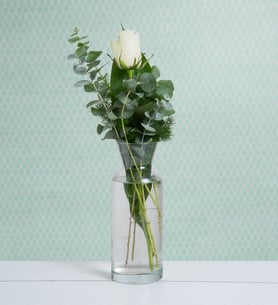1 Rosa blanca: Blancanieves