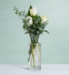Trío - 3 Rosas blancas