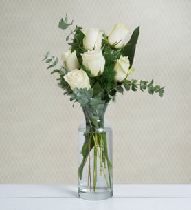 White as a Dove - 6 White Roses