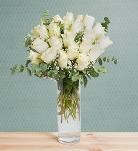 24 Rosas blancas - Blancanieves