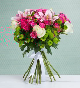 48 Rosas trepadoras rosadas - Alegre abrazo