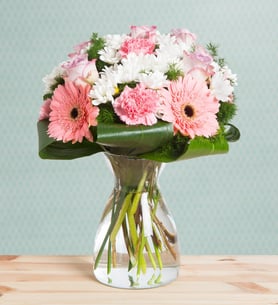 Carnations, Gerberas and Roses - Cotton Candy