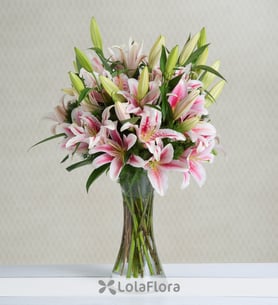Lirios rosas: Fantasía en rosa