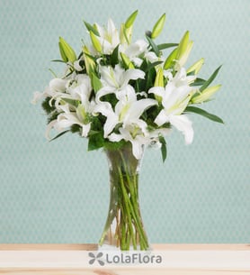 Lirios blancos: Joya cautivadora