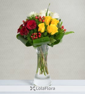 12 Rosas multicolores: Trío