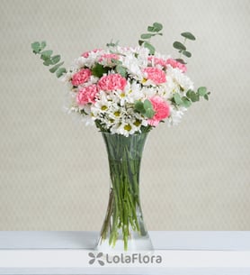 Clavel y margaritas: Dúo natural