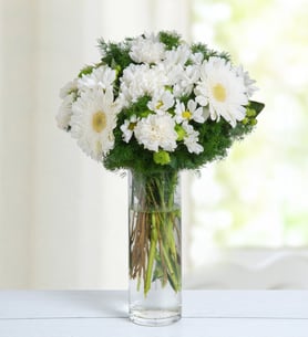 Gerberas, Carnations and Daisies - White Bubble