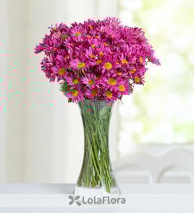 Purple Daisies - Fresh from the Field