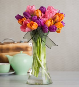 Amor de tulipán - Tulipanes púrpuras, anaranjados y rosados