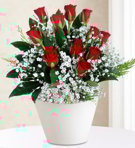 Rosas rojas - Jardín romántico