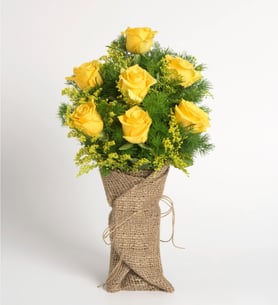 Samba - Yellow Roses