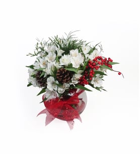 White and Jolly