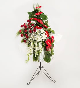 Anthurium Arrangement