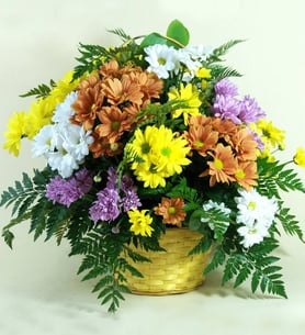 Multicolored Daisies basket by Proflores