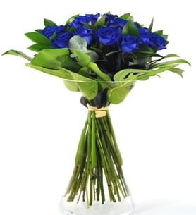 Iron - Blue Roses