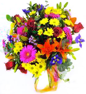Seychelles - Roses, Lilies, Iris, Gerberas and Daisies