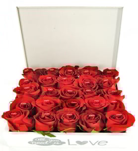 Vulcano - Box of Roses