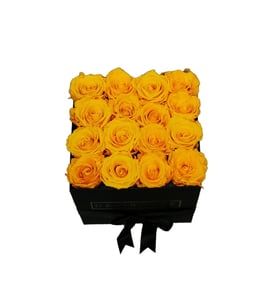 Dawn - Preserved roses in square box