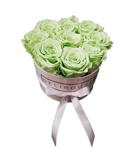 Green hope - Preserved roses in square box