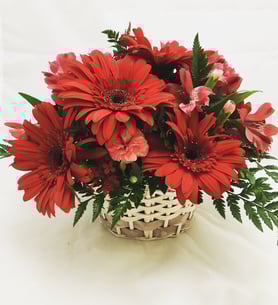 Freshness arrangement - Gerberas, alstromerias and carnations