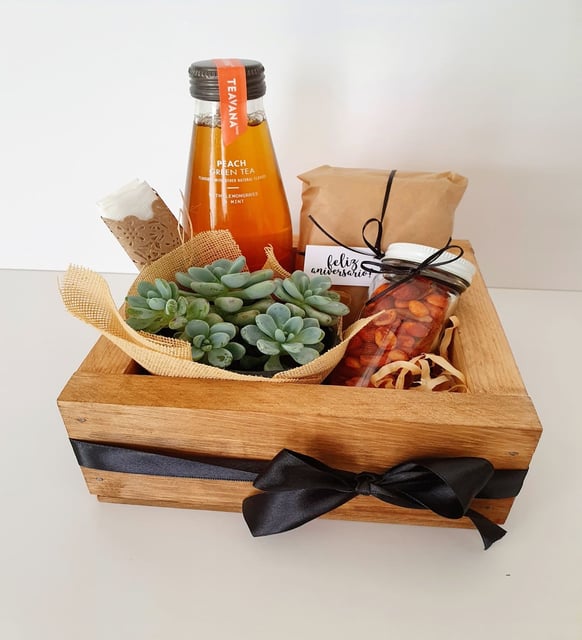 SUCULENTO BOX