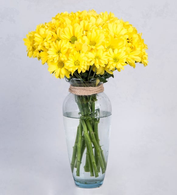 Arreglo De Margaritas Amarillas