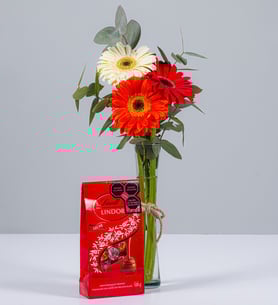 Autumn Gerberas In Violetero And Lindt