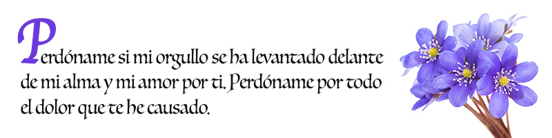 Mensajes lo siento