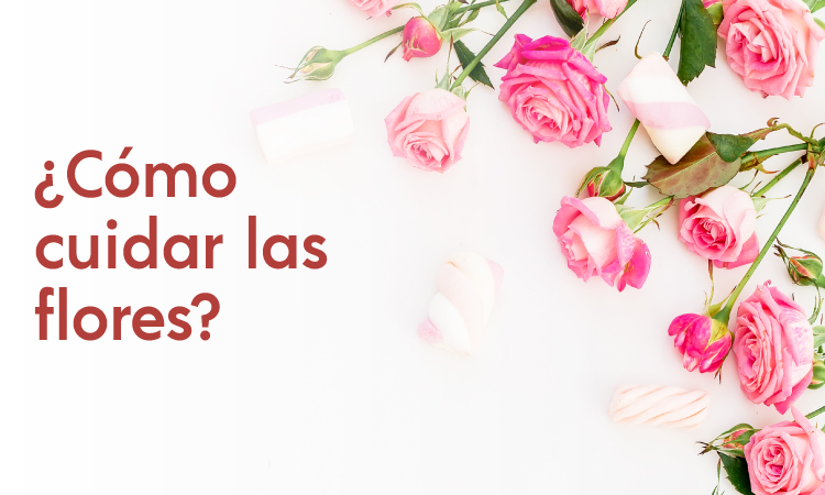 cuidado de las flores