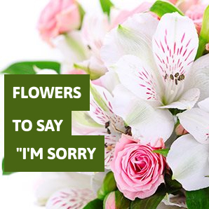 Flowers to say I'm sorry