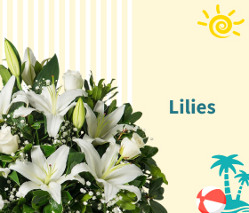 Lilies